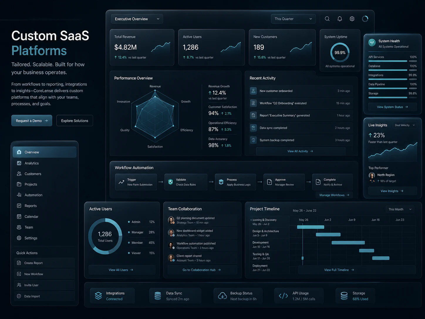 Custom SaaS Platforms dashboard preview